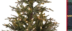 Suzanne Kasler 3' Flocked Fraser Fir Tabletop Tree