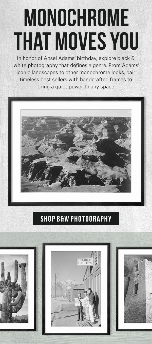 Monochrome That Moves You: In honor of Ansel Adams’ birthday, explore black & white photography that defines a genre. From Adams’ iconic landscapes to other monochrome looks, pair timeless best sellers with handcrafted frames to bring a quiet power to any space.