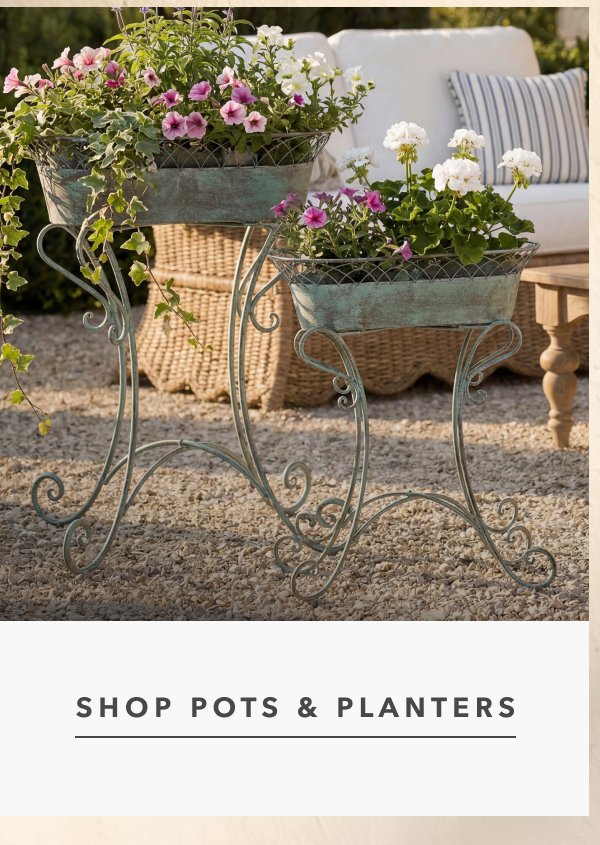 Shop Pots & Planters