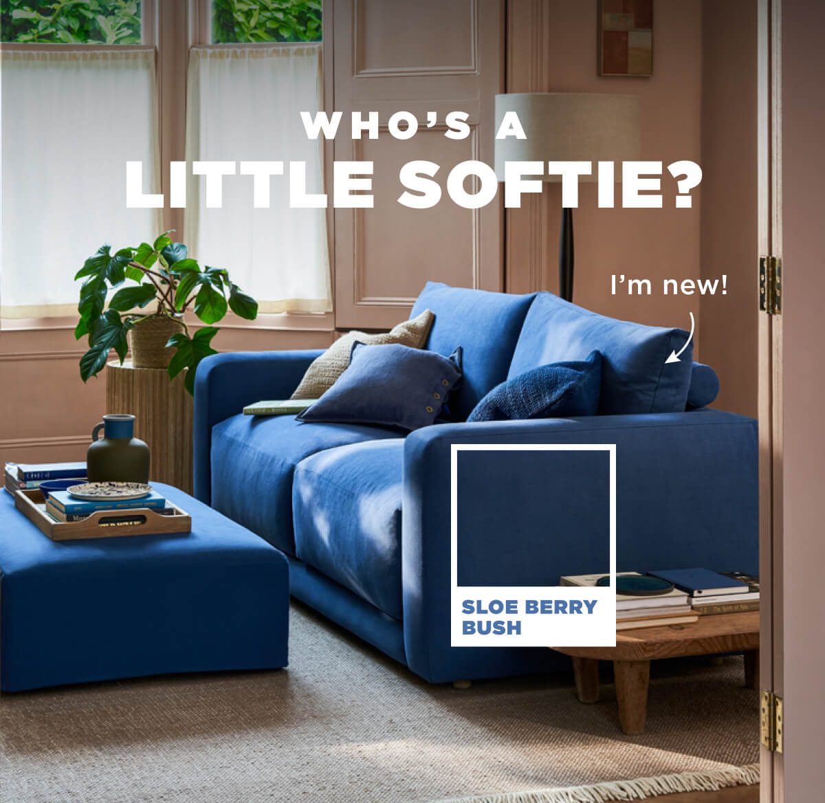 Who's a Little Softie?