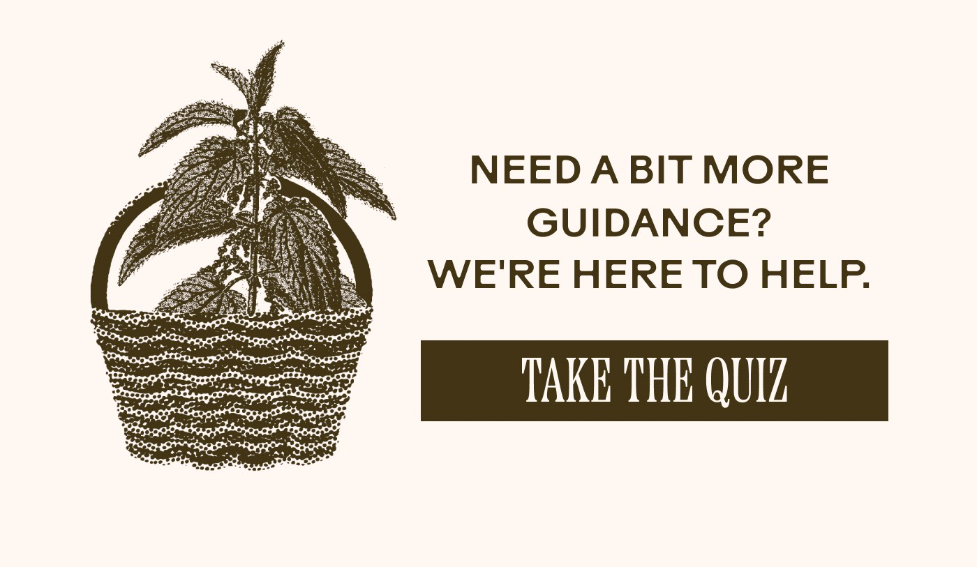 NEED A BIT MORE GUIDANCE? WE’RE HERE TO HELP. TAKE THE QUIZ]