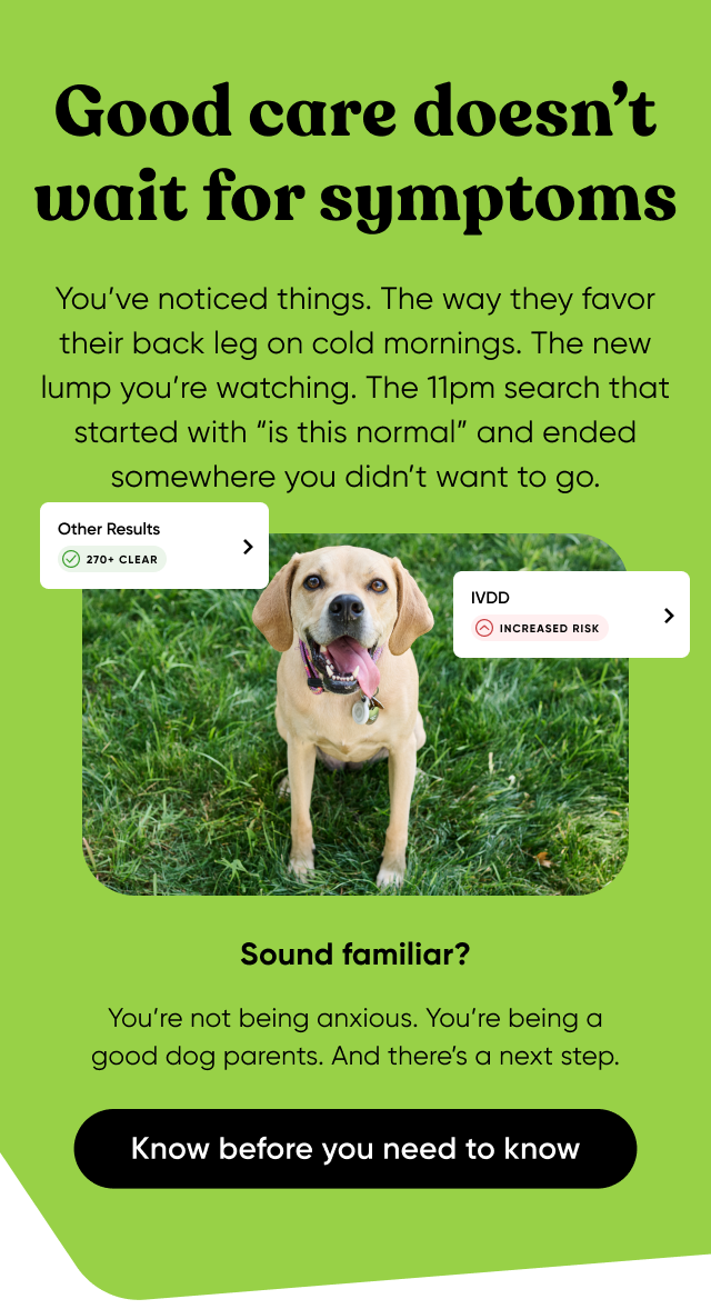 Good care doesn't wait for symptoms. You’ve noticed things. The way they favor their back leg on cold mornings. The new lump you’re watching. The 11pm search that started with “is this normal” and ended somewhere you didn’t want to go. Sound familiar? You’re not being anxious. You’re being a good dog parents. And there’s a next step. Know before you need to know.