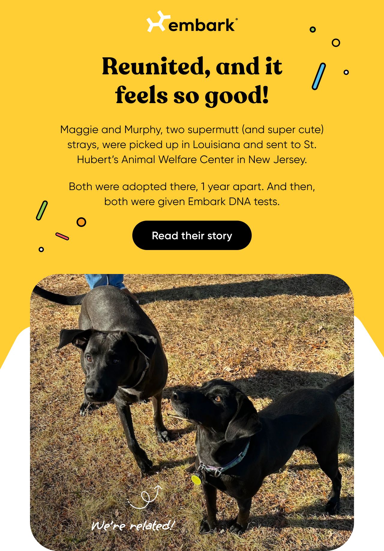 Read Maggie and Murphy's story