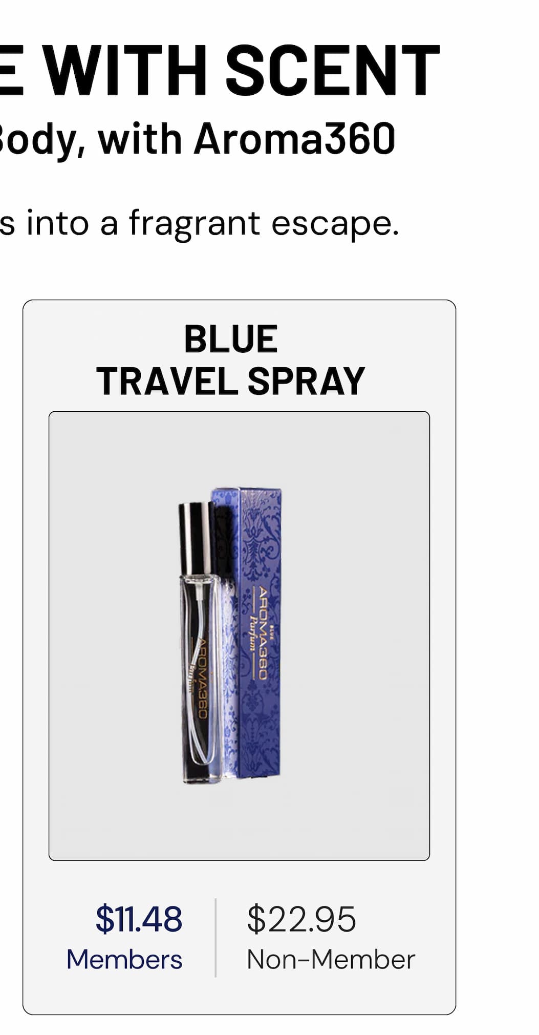 BLUE TRAVEL SPRAY