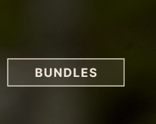 Bundles