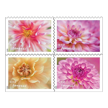 USPS First-Class Spring Stamps, 100 Count