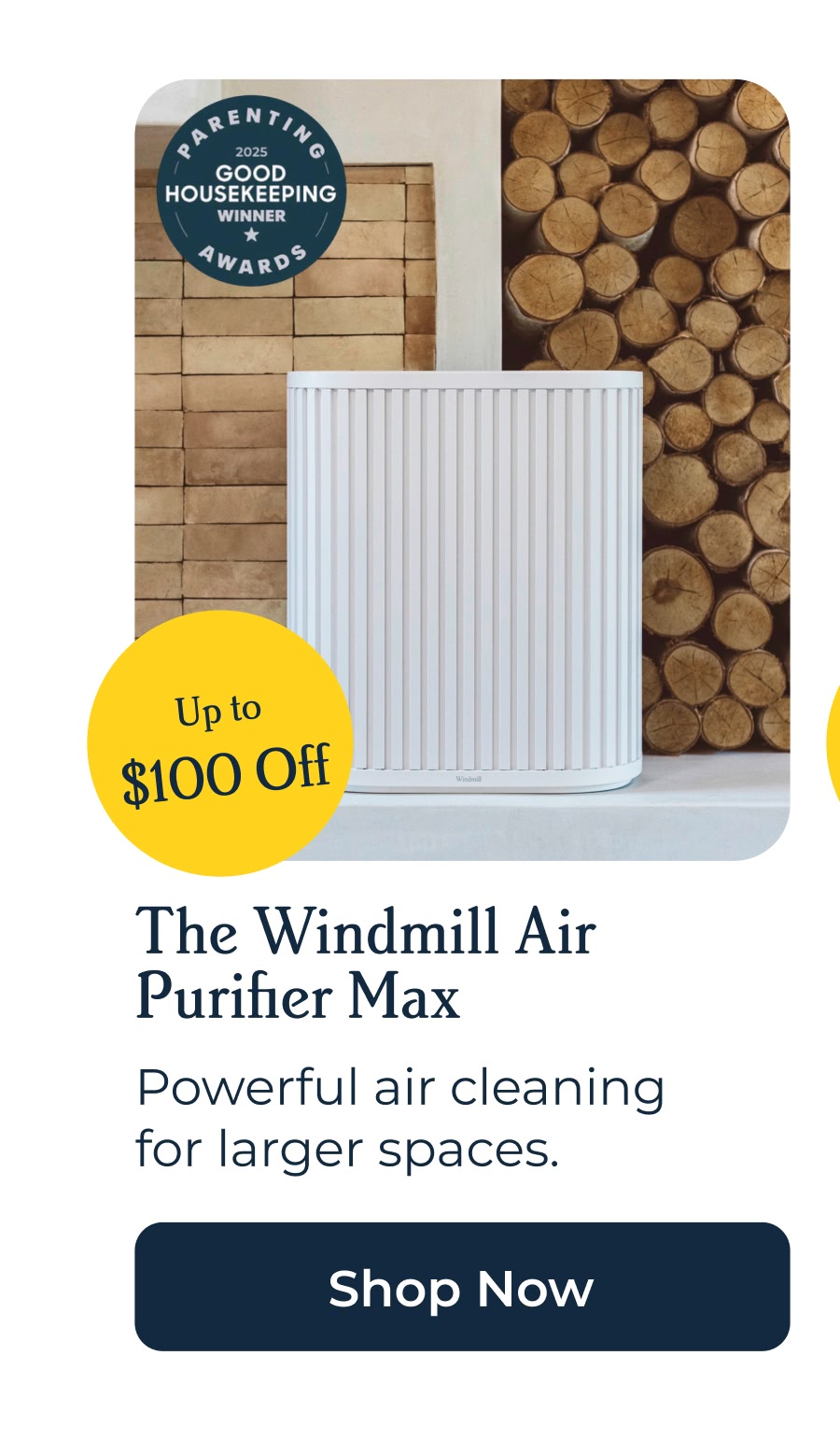 Air Purifier Max