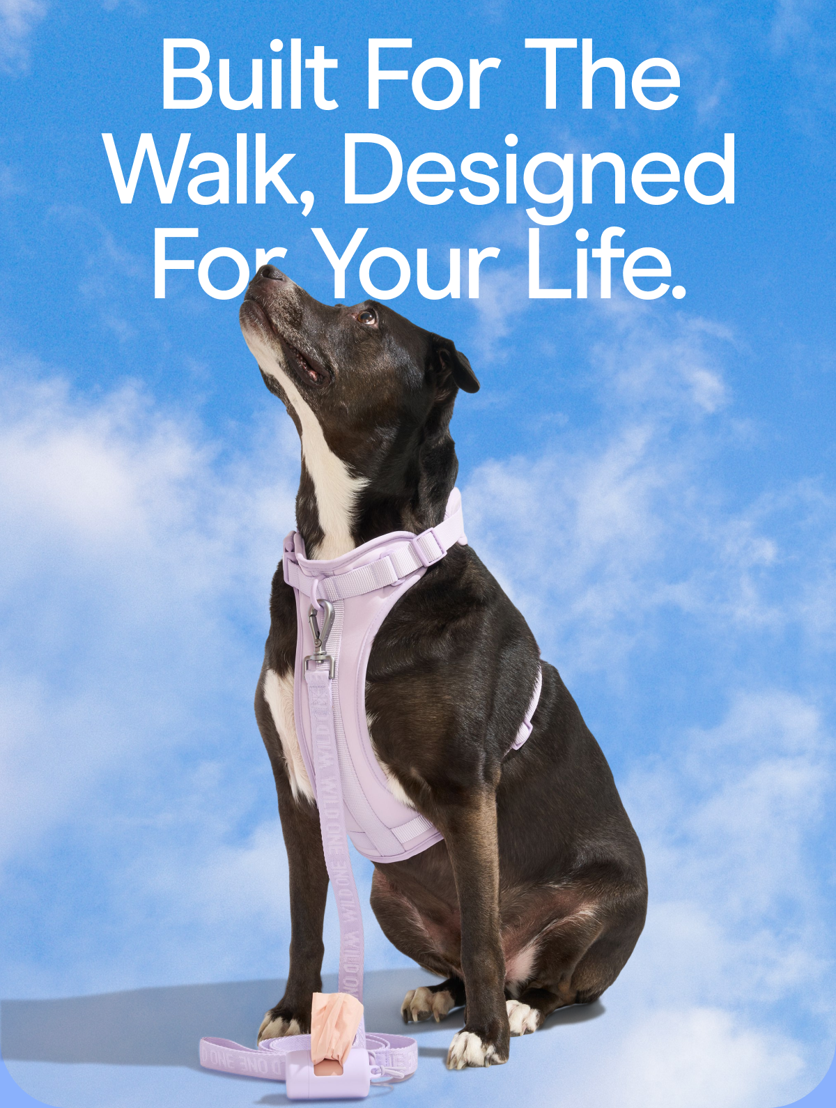 Built for the walk, designed for your life. 