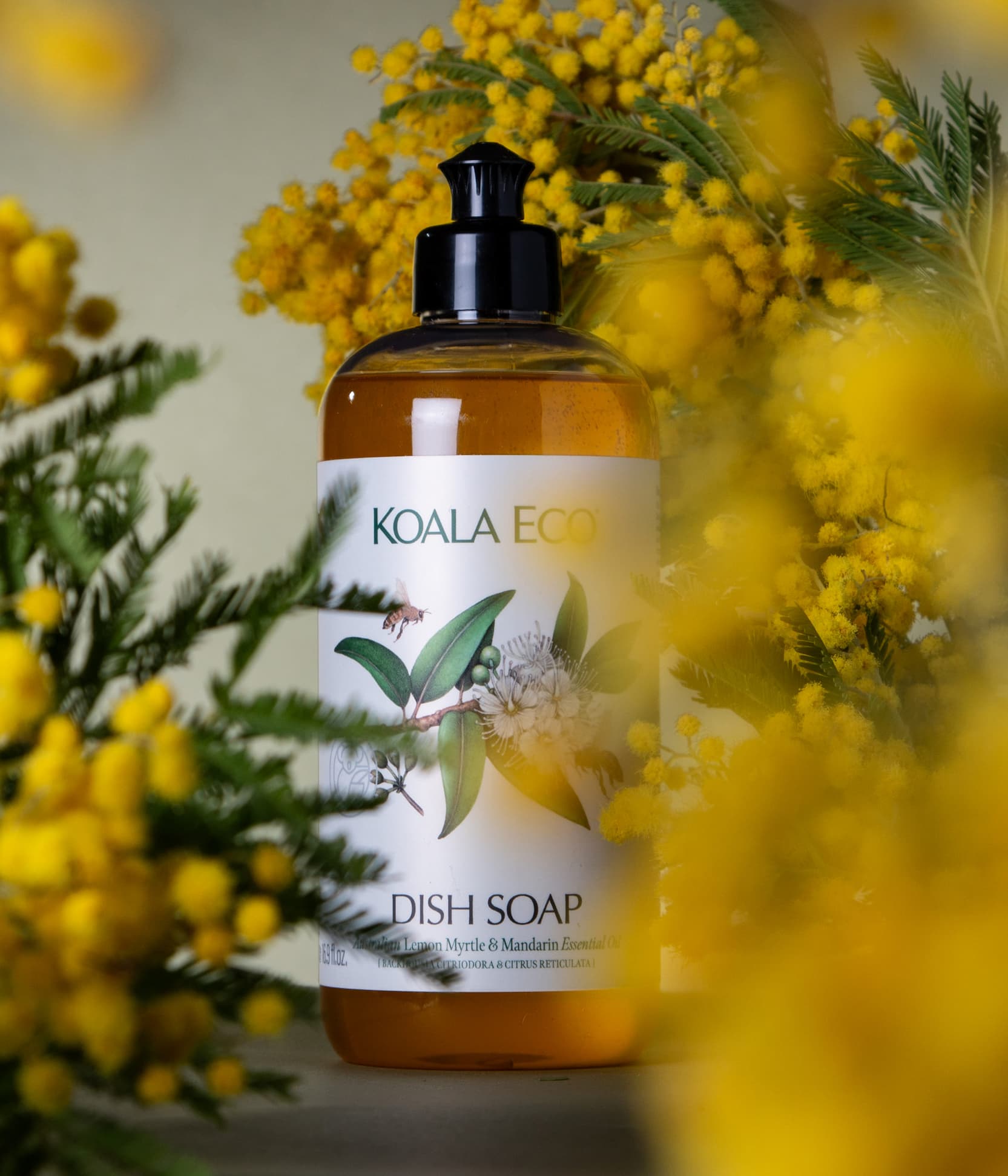 KOALA ECO Dish Soap