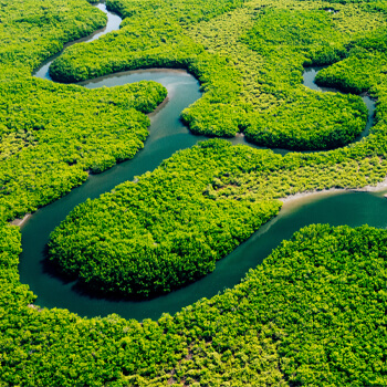 2026 Legendary Amazon Explorer Cruise | Roundtrip USA