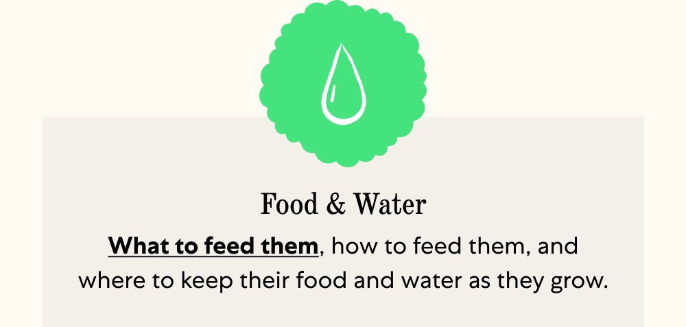 Food & Water What to feed them, how to feed them, and where to keep their food and water as they grow.
