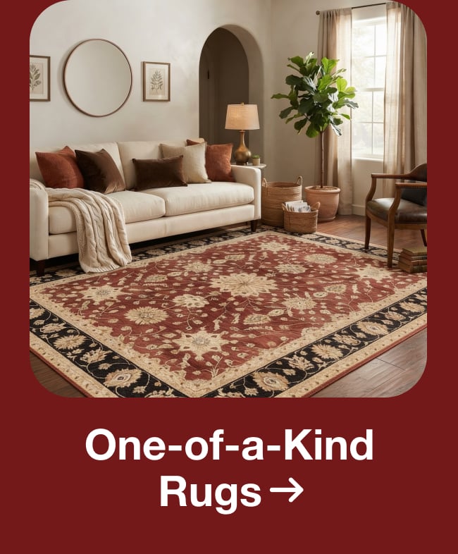 Save on One-of-a-Kind Rugs
