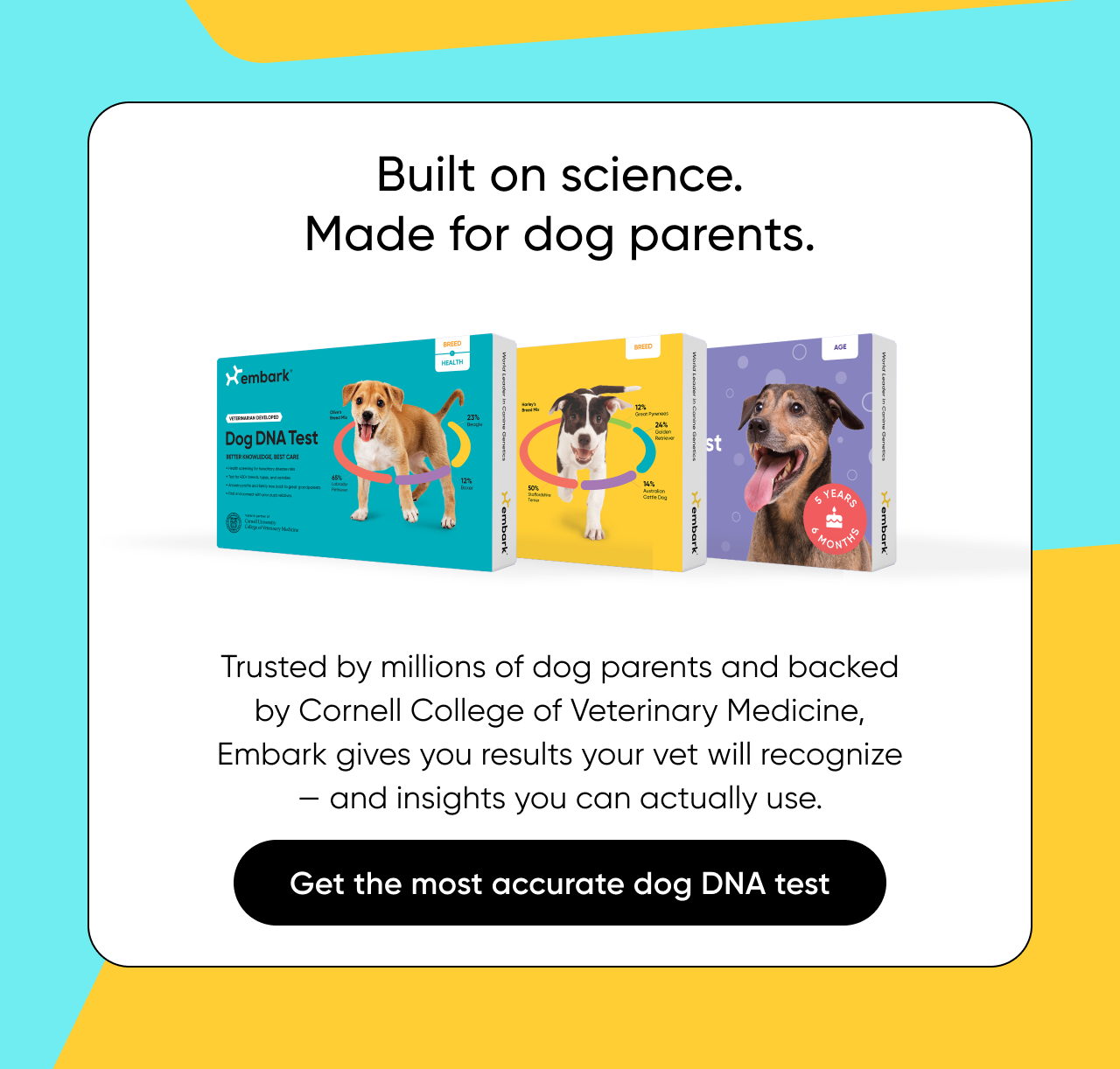 Built on science. Made for dog parents. Trusted by millions of dog parents and backed by Cornell College of Veterinary Medicine, Embark gives you results your vet will recognize and insights you can actually use. Get the most accurate dog DNA test