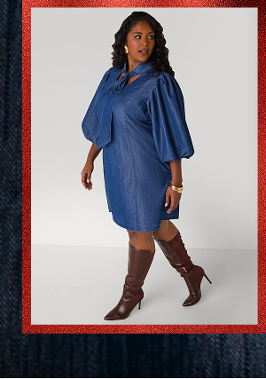 Studded Puff Sleeve Chambray Dress