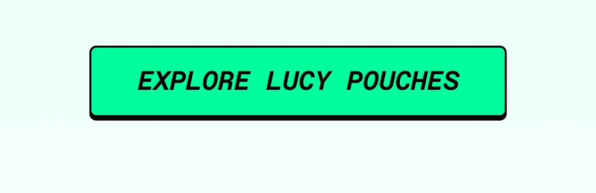 Click to Shop Lucy Pouches