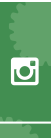 Follow Us on Instagram