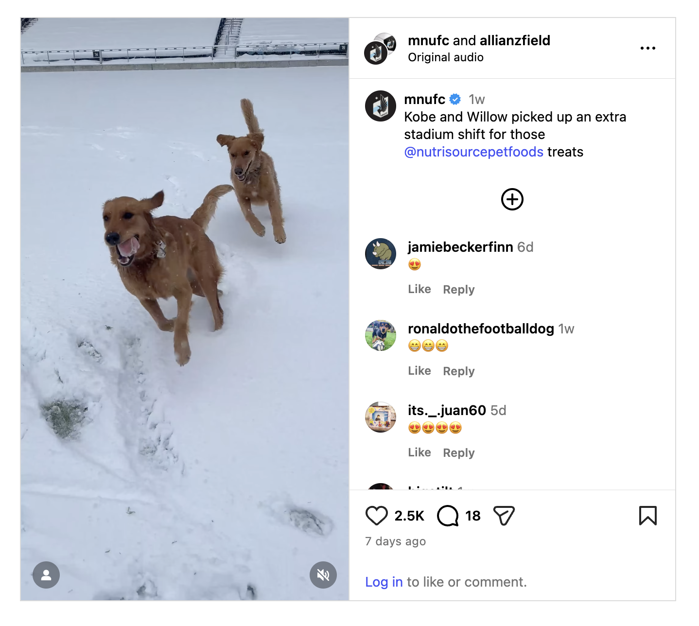 Instagram | Kobe and Willow Picked Up an Extra Shift at Allianz Field