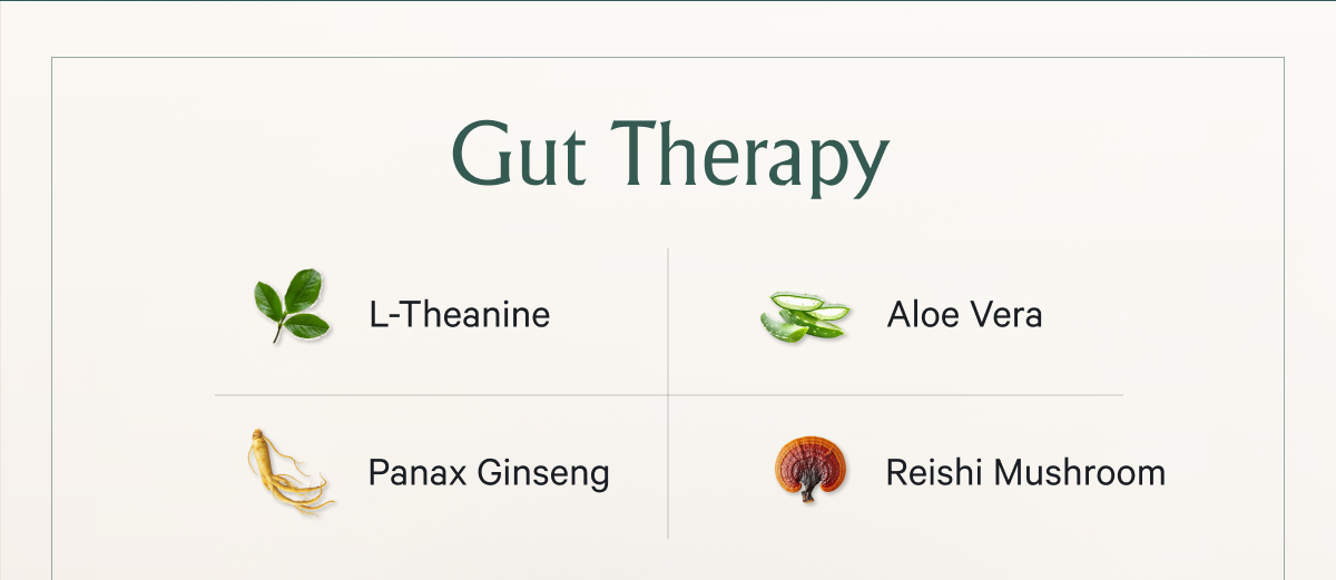 Gut Therapy