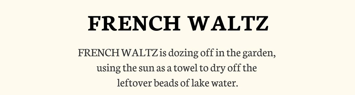 FRENCH WALTZ