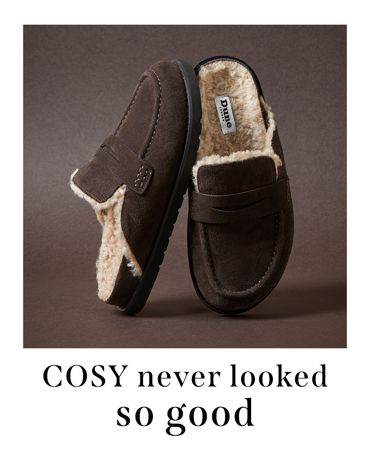 Shop Goldy