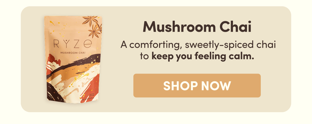 Mushroom Chai |  A comforting, sweetly-spiced chai to keep you feeling calm. | Shop Now