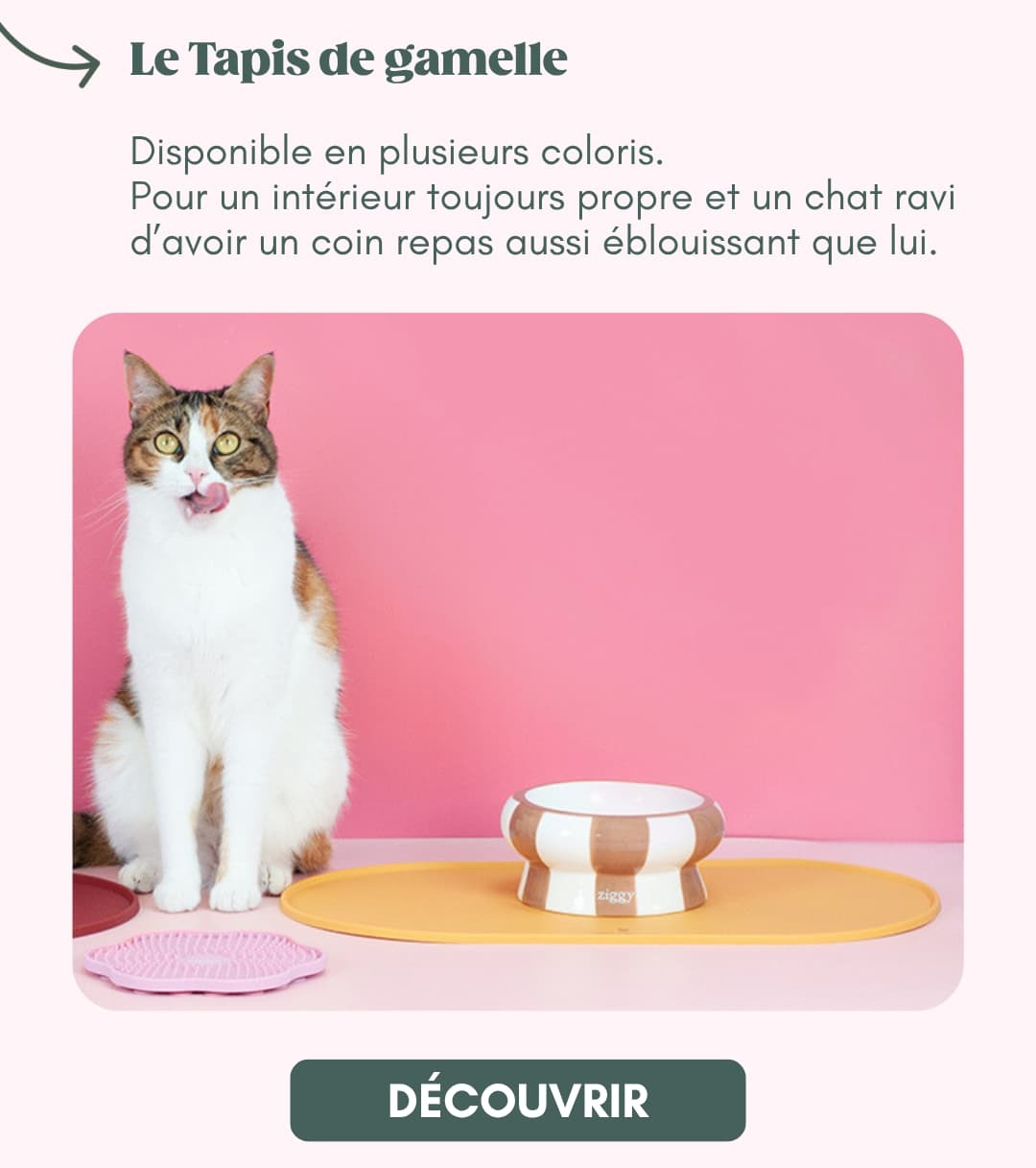 Le tapis de gamelle Ziggy