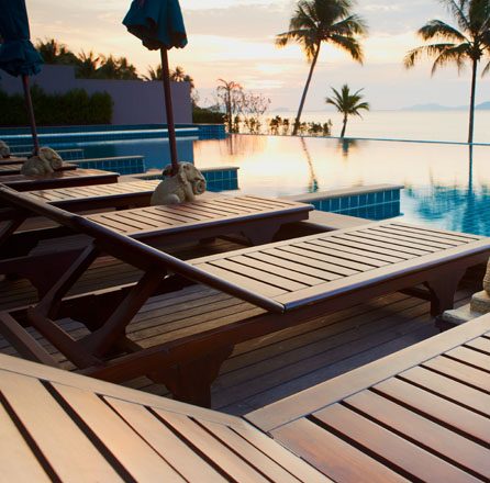 Hotel Bookings