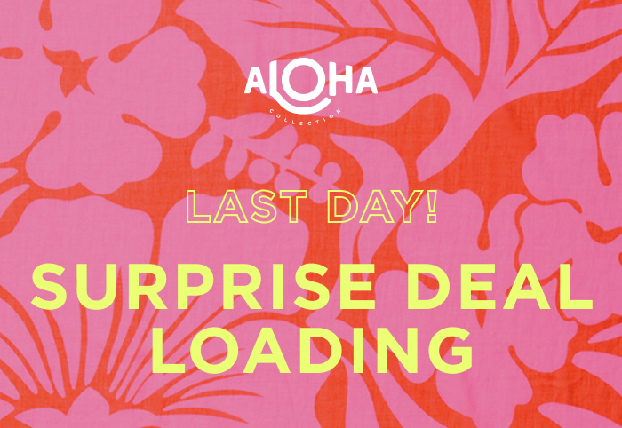 LAST DAY! SURPRISE DEAL LOADING