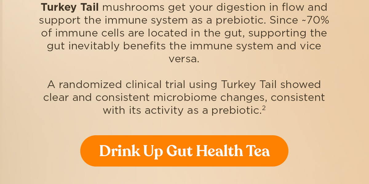 Drink Up Gut Health Tea