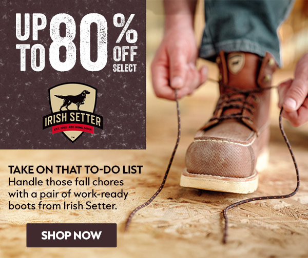 IRISH SETTER Boots & Shoes