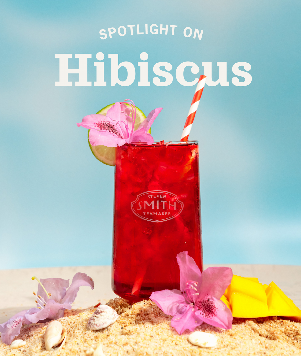 Hero: Spotlight on Hibiscus 