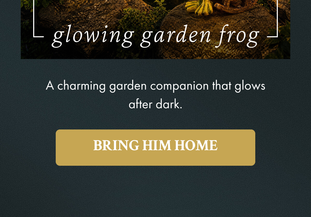 Bring Him Home
