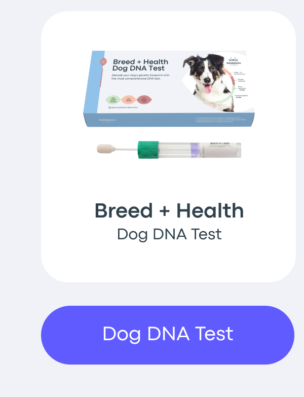 Dog DNA Test