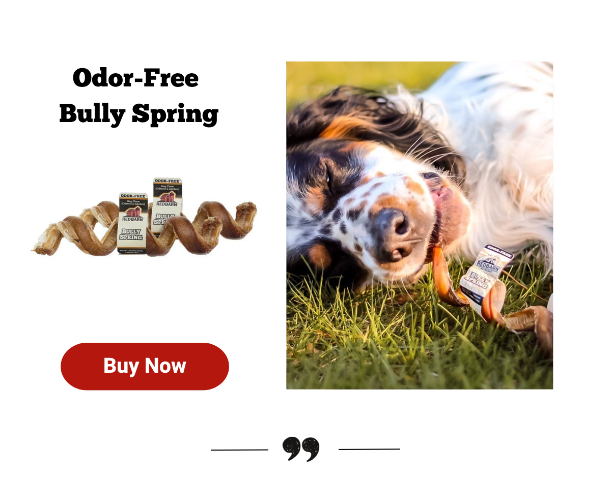 Odor-Free Bully Springs