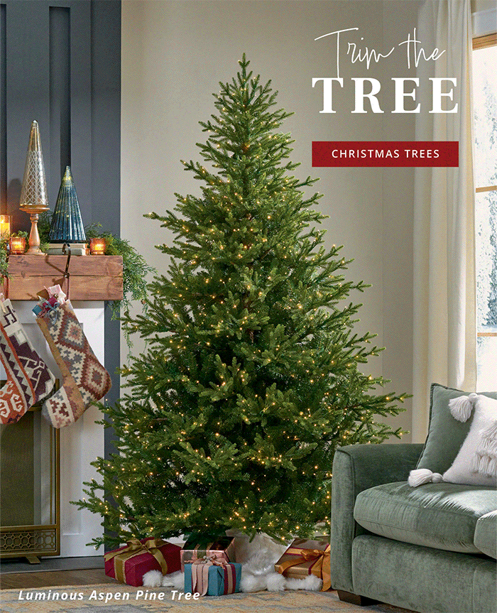 Christmas Trees