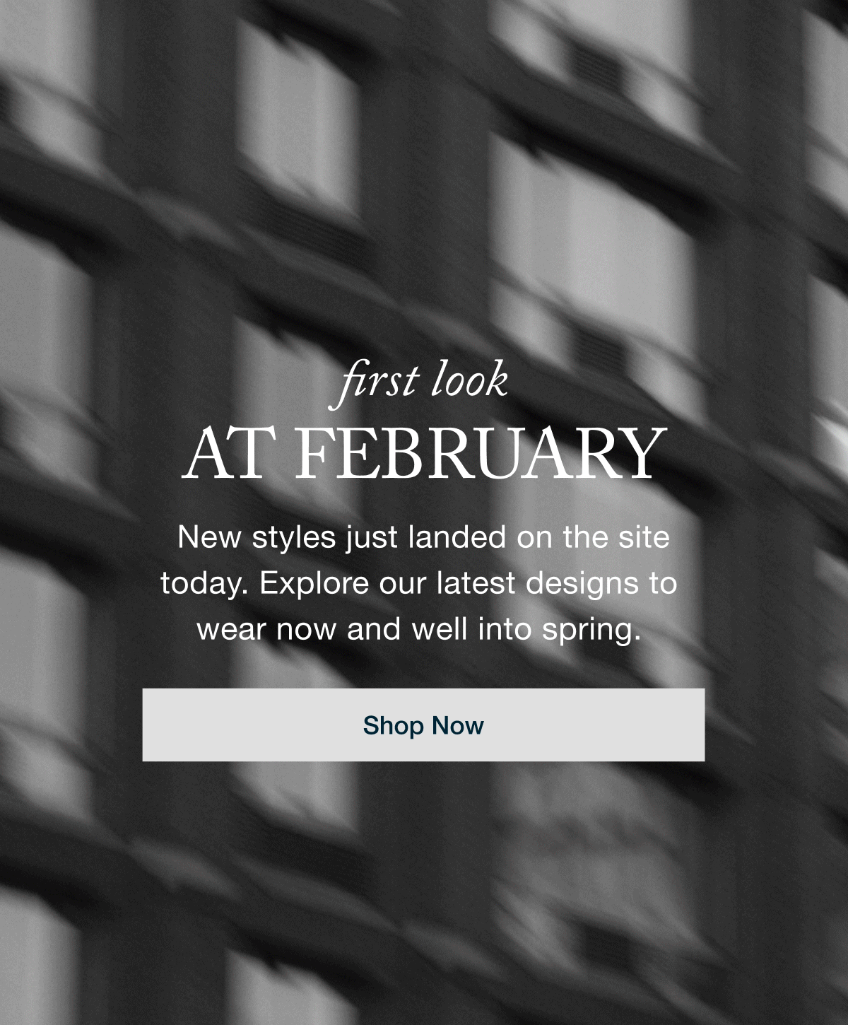 First Look at February - Shop Now