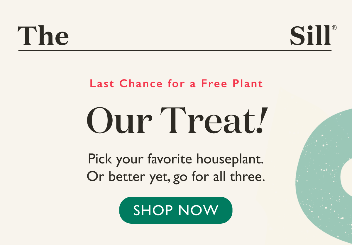 Last chance for a free plant! Pick your favorite. Or better yet, go for all three.