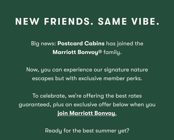 New Friends, Same Vibe.