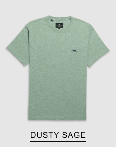 Shop The Gunn Sports Fit Tee 2.0, Dusty Sage online and instore at Rodd & Gunn