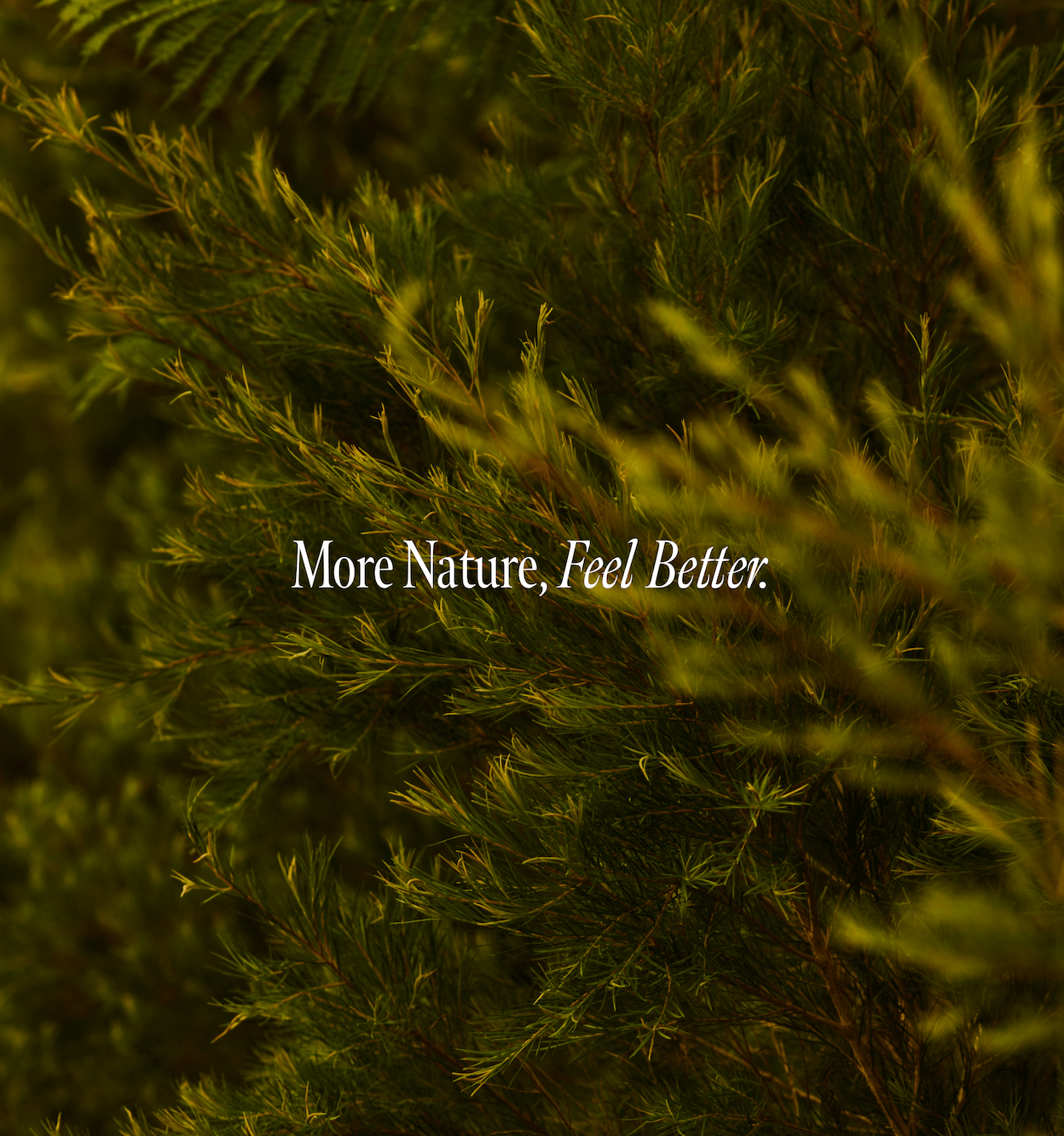 More Nature, Feel Better.