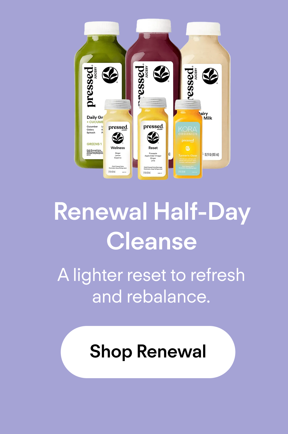 Renewal Half-Day Cleanse