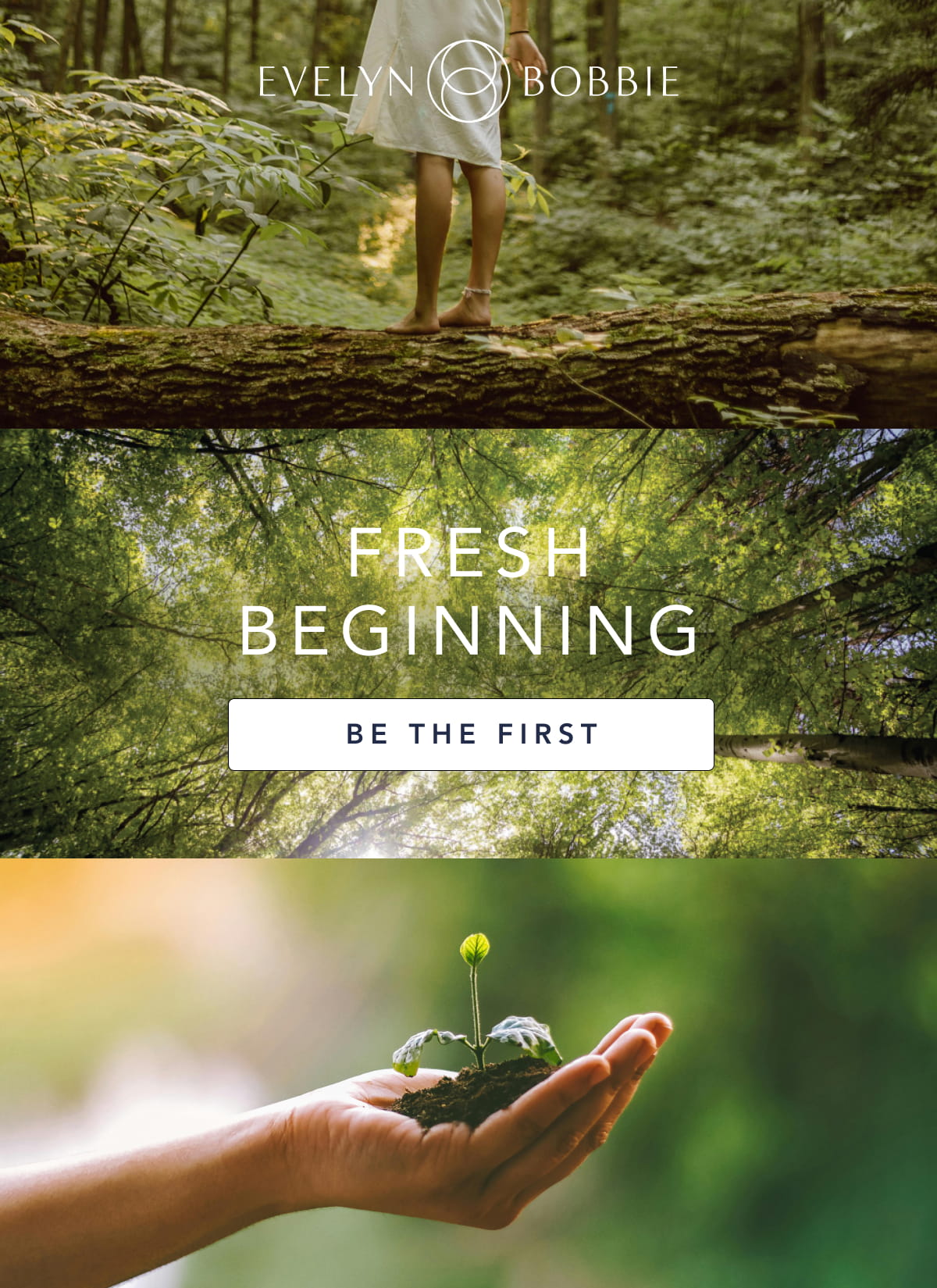 Be the First to see the new color, Aloe