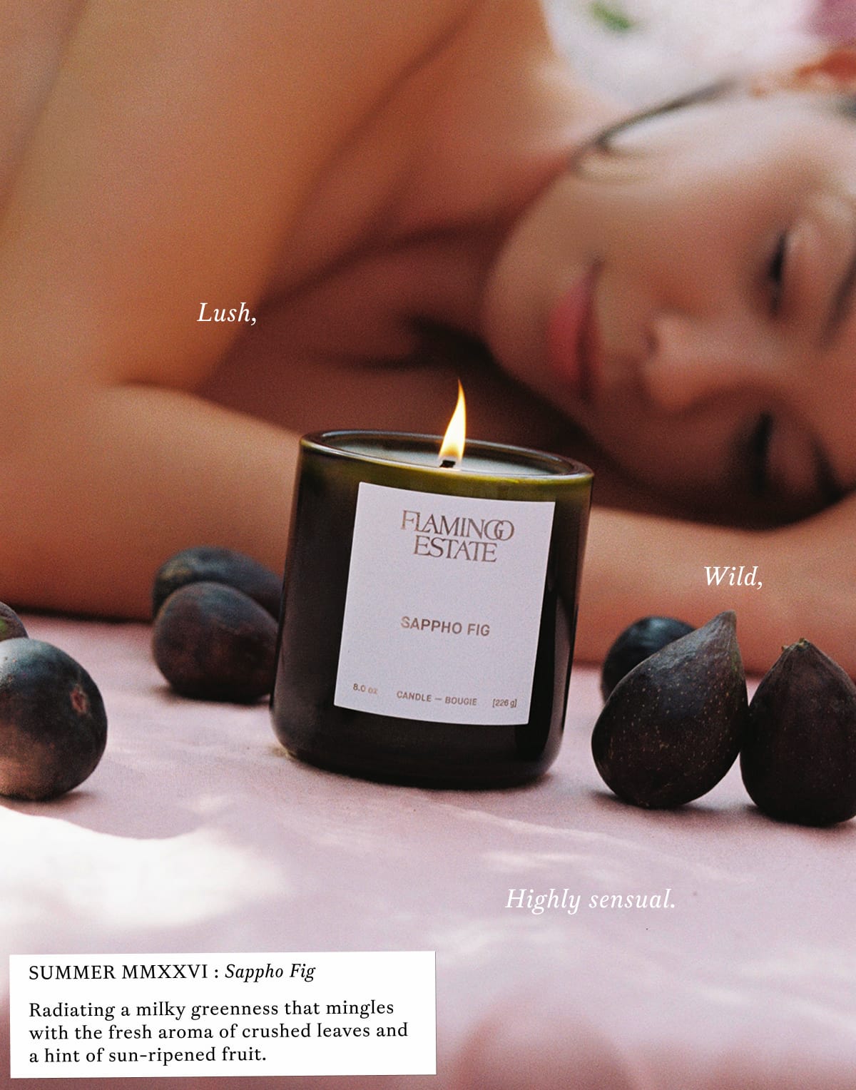 Sappho Fig