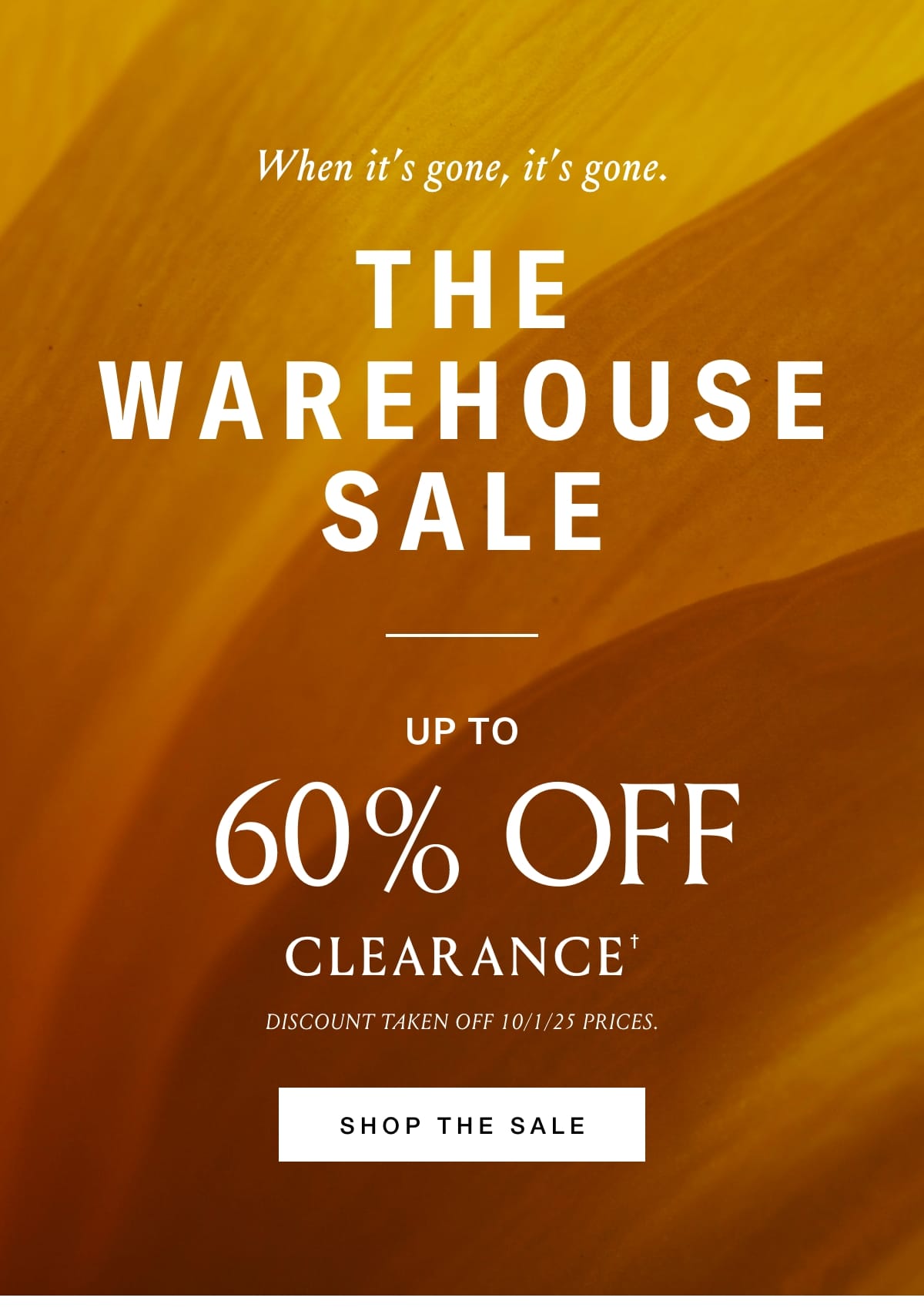 Shop the Sale