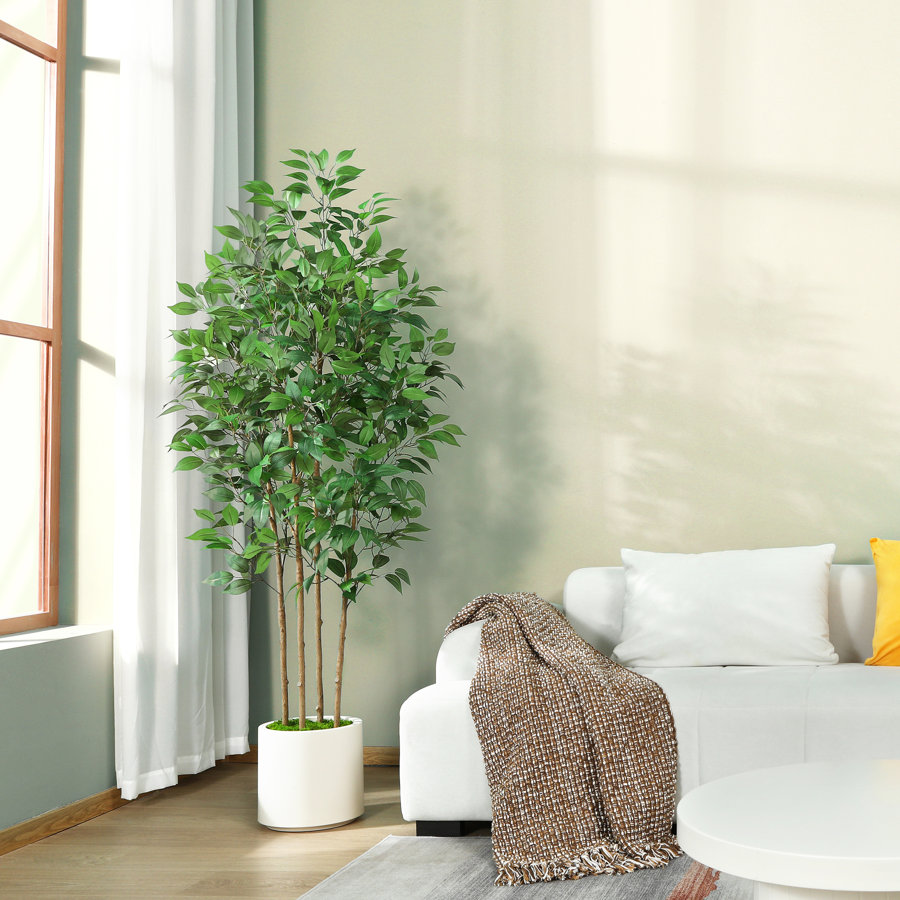 Adcock Faux Ficus Tree in Pot with White Planter, Faux Green Ficus Plant, Fake Tree for Home Décor