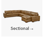 Shop Rowan Leather Sectional