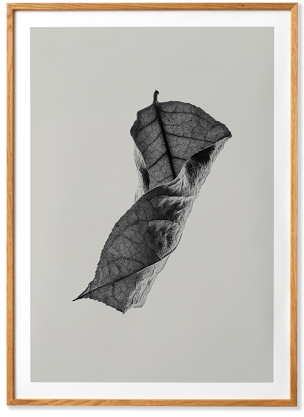Sabi Leaf 04