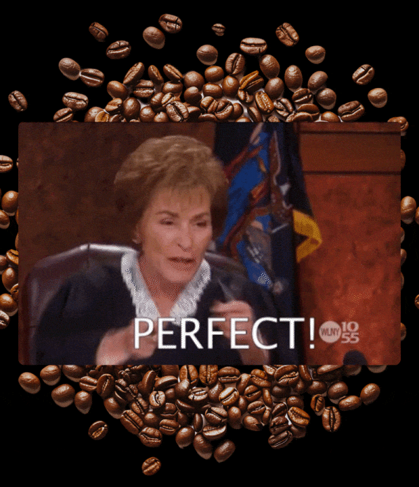 Judge Judy GIF
