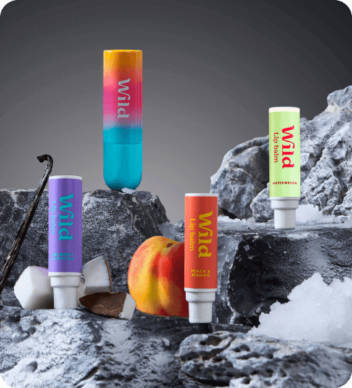 ombre LIP  BALM CASE AND REFILLs