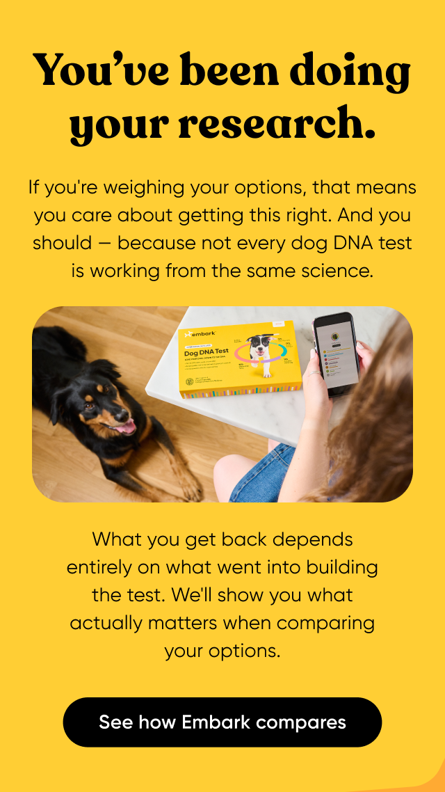 You've been doing your research. If you're weighing your options, that means you care about getting this right. And you should, because not every dog DNA test is working from the same science. What you get back depends entirely on what went into building the test. We'll show you what actually matters when comparing your options. See how Embark compares.